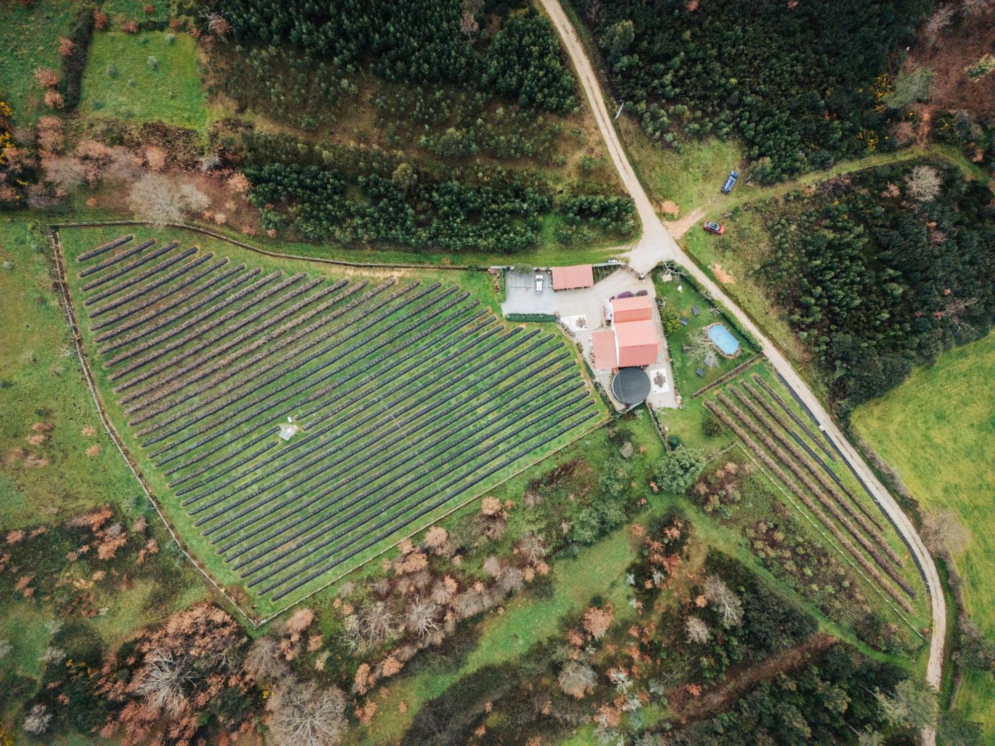 Quinta Vale Salgueiro Apartment Seia Luaran gambar