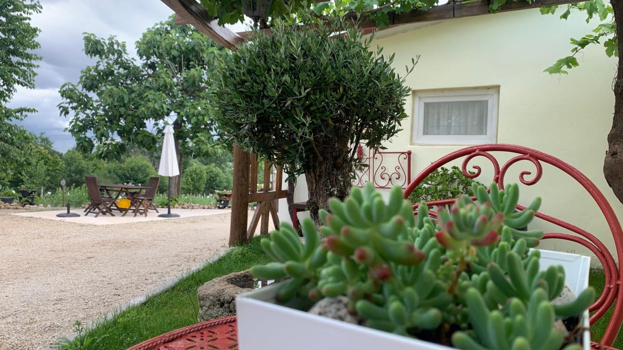 Quinta Vale Salgueiro Apartment Seia Luaran gambar